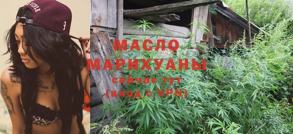 гидра Абаза