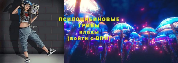 гидра Абаза