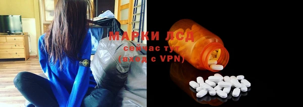 гидра Абаза