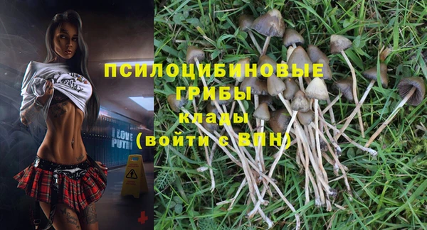 ГАЛЛЮЦИНОГЕННЫЕ ГРИБЫ Абдулино