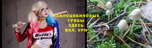 ГАЛЛЮЦИНОГЕННЫЕ ГРИБЫ Абдулино